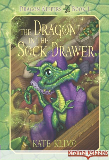 Dragon Keepers #1: The Dragon in the Sock Drawer Kate Klimo John Shroades 9780375855887 Yearling Books - książka