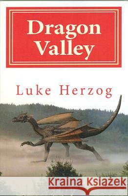 Dragon Valley Luke Herzog 9780984991907 Why Not Books - książka