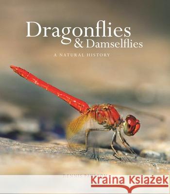 Dragonflies and Damselflies: A Natural History Dennis Paulson 9780691180366 Princeton University Press - książka