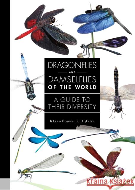 Dragonflies and Damselflies of the World: A Guide to Their Diversity Klaas-Douwe B. Dijkstra 9780691255033 Princeton University Press - książka