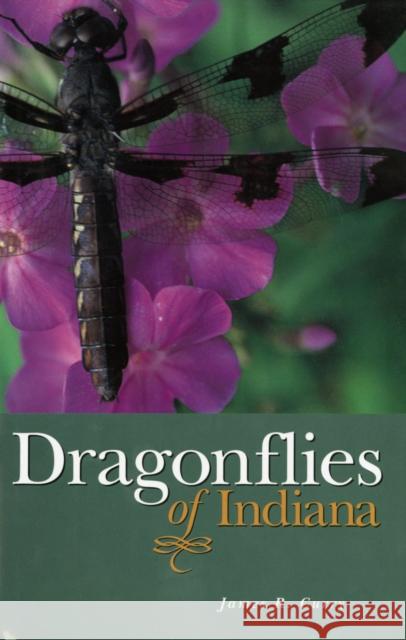 Dragonflies of Indiana James R. Curry Thomas M. Antonio 9781883362119 Indiana University Press - książka