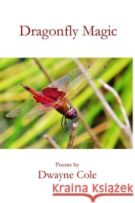 Dragonfly Magic Dwayne Cole Wilbur Reid 9781951472986 Parson's Porch - książka