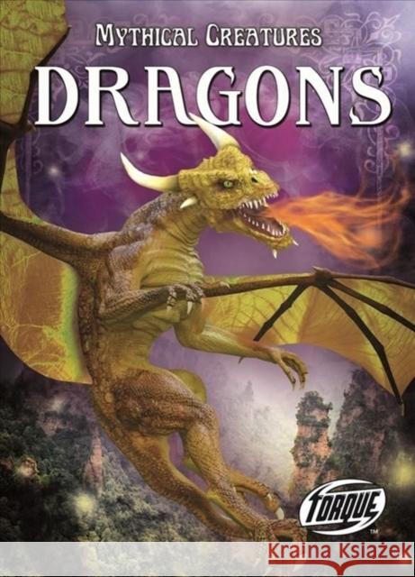 Dragons Lisa Owings 9781644872734 Torque - książka