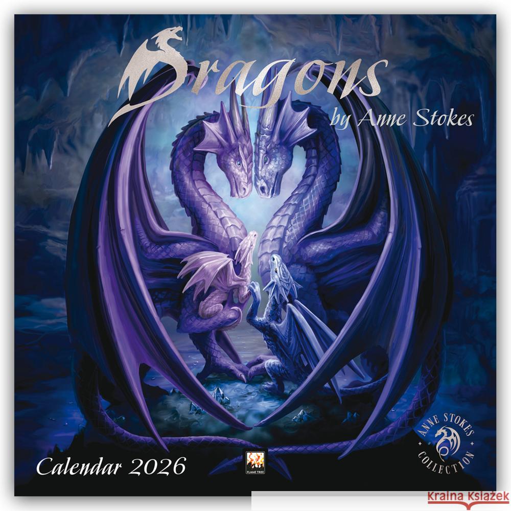 Dragons by Anne Stokes Wall Calendar 2026 (Art Calendar) Flame Tree Studio 9781835623183 Flame Tree Publishing - książka