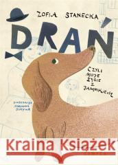 Drań, czyli moje życie z jamnikiem Zofia Stanecka, Marianna Sztyma 9788367157926 Kropka - książka