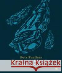 Děravým dnem do noci Petr Pazdera Payne 9788087485583 Protimluv - książka