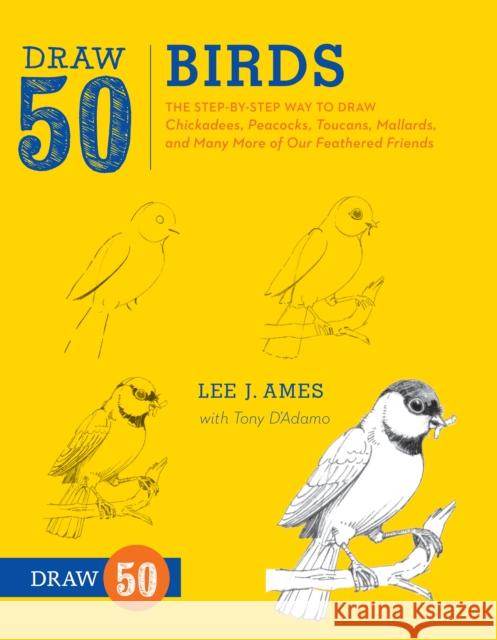 Draw 50 Birds  9780823085989 Watson-Guptill Publications - książka