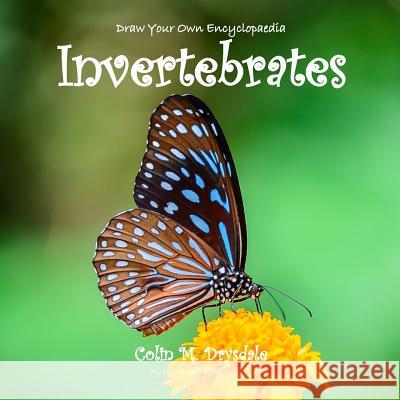 Draw Your Own Encyclopaedia Invertebrates Colin M Drysdale   9781909832459 Pictish Beast Publications - książka