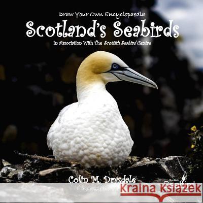 Draw Your Own Encyclopaedia Scotland's Seabirds Colin M Drysdale 9781909832596 Pictish Beast Publications - książka