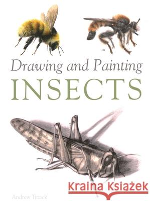 Drawing and Painting Insects Andrew Tyzack 9781847974891 The Crowood Press Ltd - książka