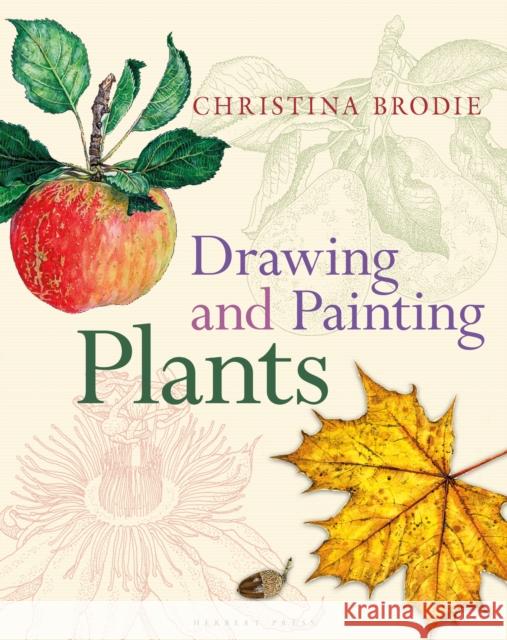Drawing and Painting Plants Christina Brodie 9781789940657 Bloomsbury Publishing PLC - książka