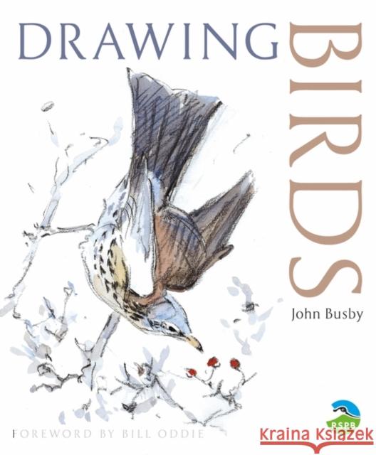 Drawing Birds John Busby 9780713668162 Bloomsbury Publishing PLC - książka
