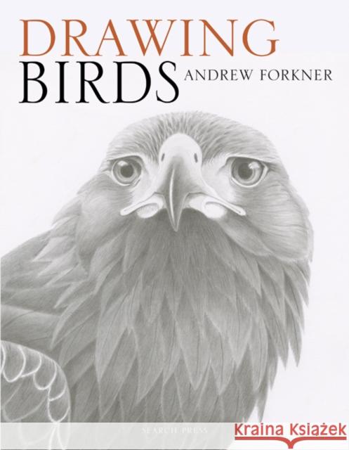 Drawing Birds Andrew Forkner 9781782214922 Search Press(UK) - książka