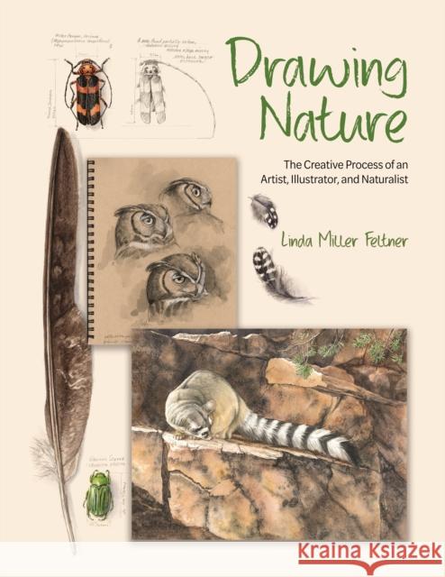 Drawing Nature: The Creative Process of an Artist, Illustrator, and Naturalist Linda Miller Feltner 9780691255385 Princeton University Press - książka