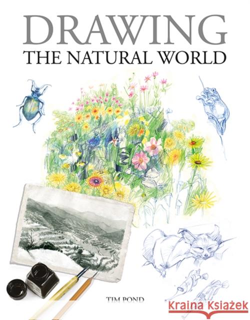 Drawing the Natural World Drysdale, Rosemary 9781784946388 GMC Publications - książka