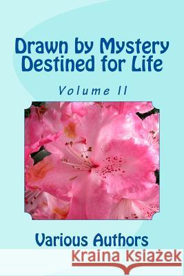Drawn by Mystery, Destined for Life: More Reflections on the Nairobi Chapter Document Br David Gibson 9781517619381 Createspace - książka