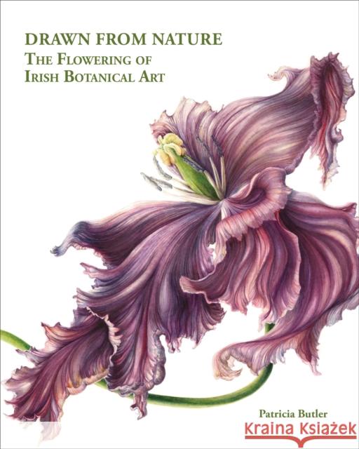 Drawn From Nature: The Flowering of Irish Botanical Art Patricia Butler 9781788842365 ACC Art Books - książka