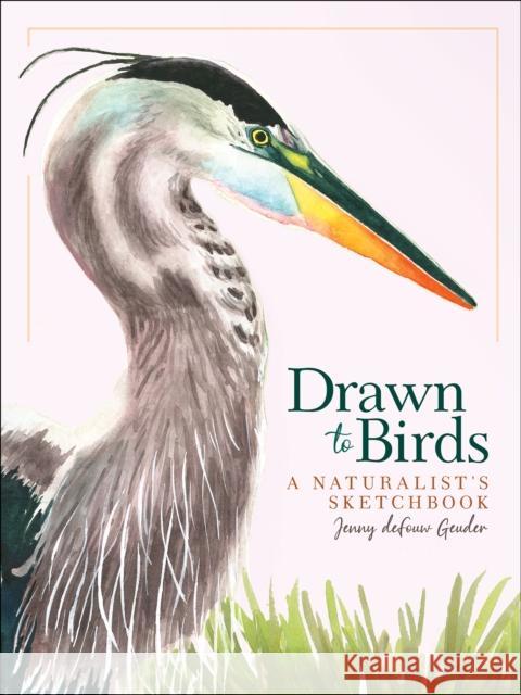 Drawn to Birds: A Naturalist's Sketchbook Jenny Defou 9781647552251 Adventure Publications, Incorporated - książka