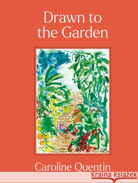 Drawn to the Garden: THE SUNDAY TIMES BESTSELLER Caroline Quentin 9780711290556 Quarto Publishing PLC - książka