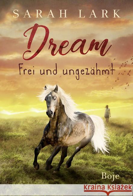 Dream - Frei und ungezähmt Lark, Sarah 9783414825070 Boje Verlag - książka