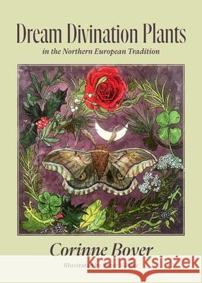 Dream Divination Plants: In Northwestern European Traditions Corinne Boyer 9781945147456 Three Hands Press - książka