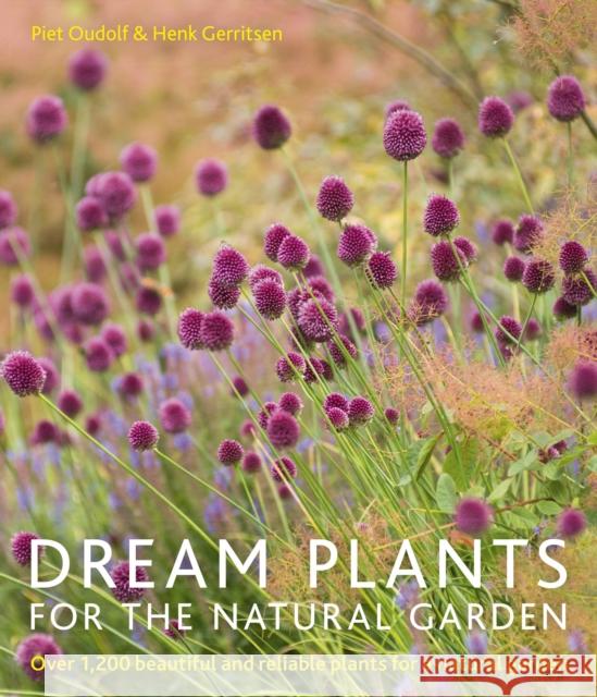 Dream Plants for the Natural Garden Henk Gerritsen 9780711234628 Frances Lincoln Publishers Ltd - książka
