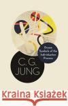 Dream Symbols of the Individuation Process: Notes of C. G. Jung's Seminars on Wolfgang Pauli's Dreams C. G. Jung Suzanne Gieser Sonu Shamdasani 9780691183619 Princeton University Press