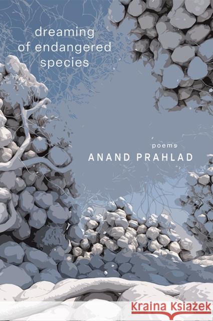 Dreaming of Endangered Species Anand Prahlad 9781622889280 Stephen F. Austin State University Press - książka