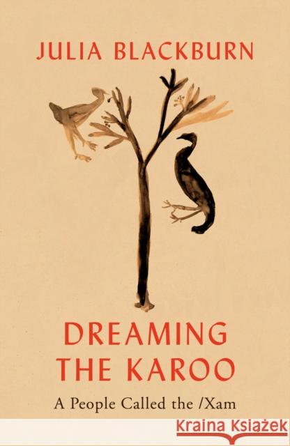 Dreaming the Karoo: A People Called the /Xam Julia Blackburn 9781787332171 Vintage Publishing - książka