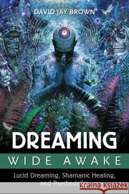 Dreaming Wide Awake: Lucid Dreaming, Shamanic Healing, and Psychedelics David Jay Brown 9781620554890 Park Street Press - książka