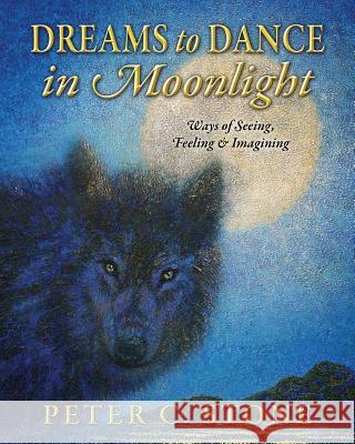 Dreams to Dance in Moonlight: Ways of Seeing, Feeling & Imagining Peter C. Stone 9781478727514 Outskirts Press - książka