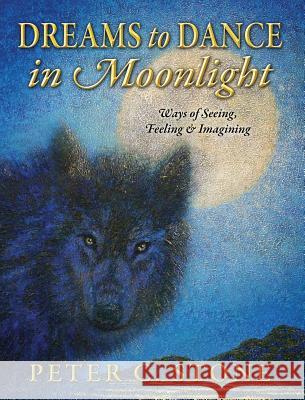 Dreams to Dance in Moonlight: Ways of Seeing, Feeling & Imagining Peter C. Stone 9781478730026 Outskirts Press - książka