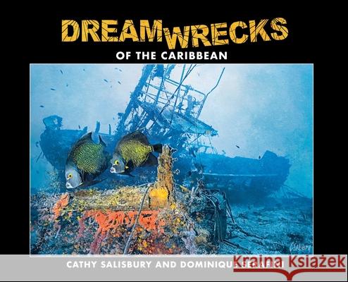 DreamWrecks of the Caribbean: Diving the best shipwrecks of the region Cathy Salisbury Dominique Serafini 9780973059816 Love of the Sea Publishing - książka