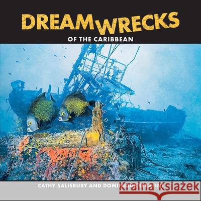 DreamWrecks of the Caribbean: Diving the best shipwrecks of the region Cathy Salisbury Dominique Serafini 9780973059830 Love of the Sea Publishing - książka