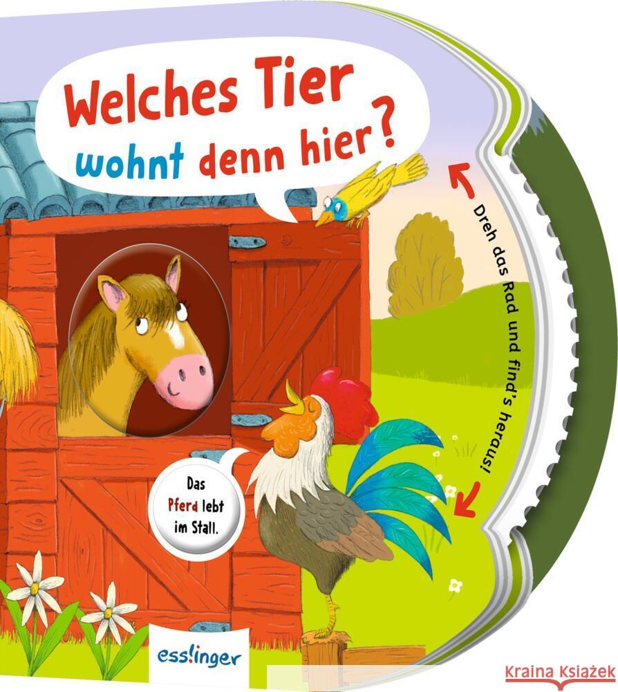 Dreh das Rad und find´s heraus! Kiel, Anja 9783480239580 Esslinger in der Thienemann-Esslinger Verlag  - książka