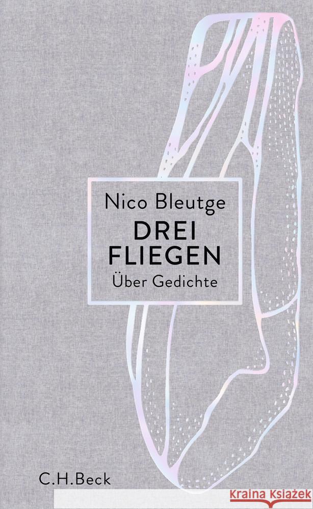 Drei Fliegen Bleutge, Nico 9783406755330 Beck - książka