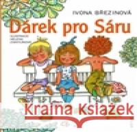 Dárek pro Sáru Helena Zmatlíková 9788074830563 Artur - książka