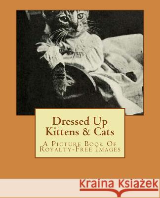 Dressed Up Kittens & Cats: A Picture Book Of Royalty-Free Images Foster, Angela M. 9781546432616 Createspace Independent Publishing Platform - książka