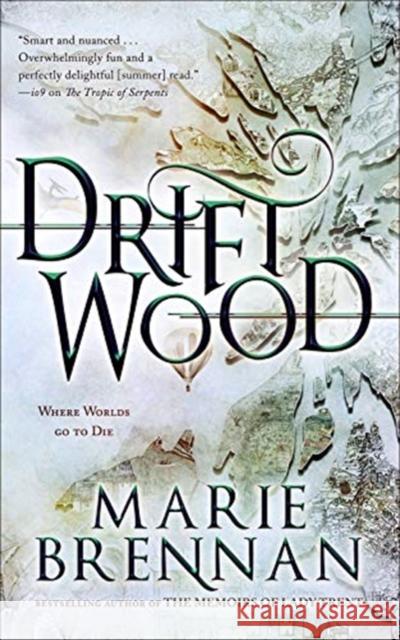 Driftwood Marie Brennan 9781616963460 Tachyon Publications - książka