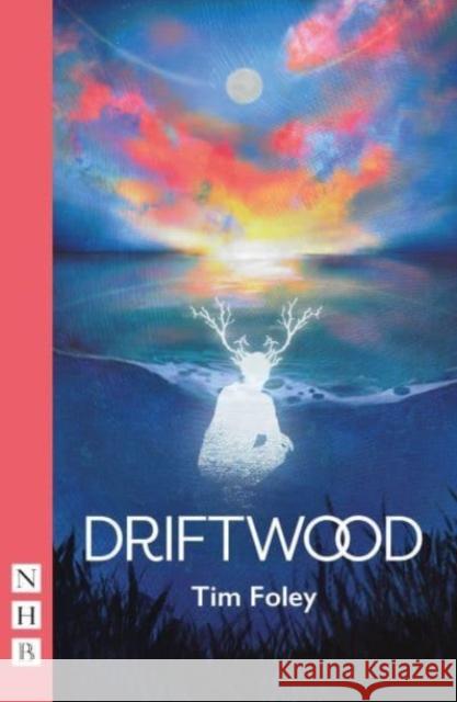 Driftwood Tim Foley 9781839042942 Nick Hern Books - książka