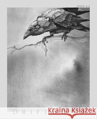 Driftwood Press 6.2 James McNulty Jerrod Schwarz 9781949065046 Driftwood Press - książka