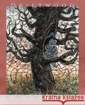 Driftwood Press 7.2 Jerrod Schwarz James McNulty 9781949065077 Driftwood Press - książka