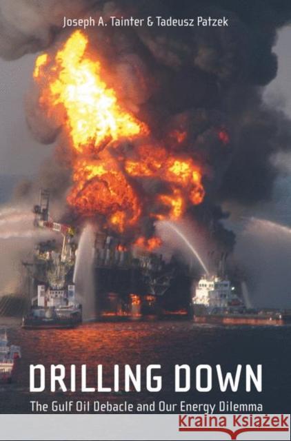 Drilling Down: The Gulf Oil Debacle and Our Energy Dilemma Tainter, Joseph A. 9781441976765  - książka