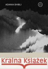 Drobny szczegół Adania Shibli 9788396898807 Drzazgi - książka