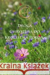 Droga Chrystusa do Królestwa Pokoju Gabriele 9783964464163 Stowarzyszenie ,,Gabriele-Wydawnictwo Słowo