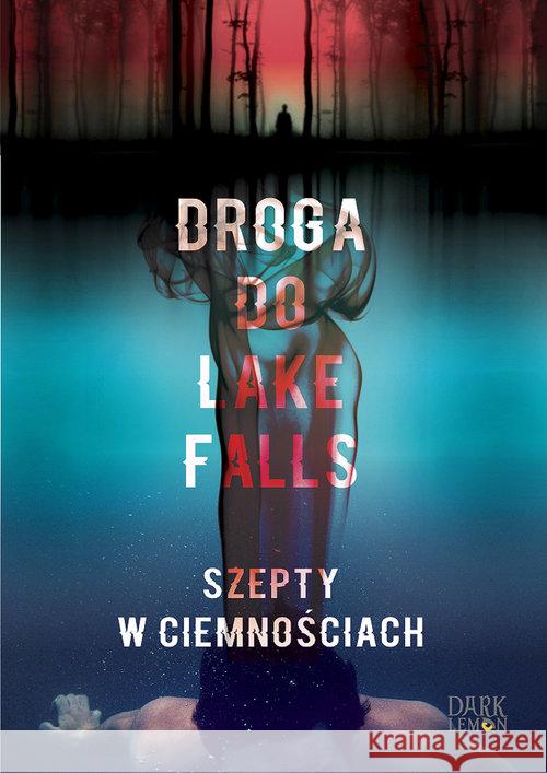 Droga do Lake Falls Dormann Artur K. 9788365897213 Lemoniada.pl - książka