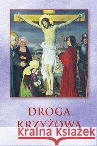 Droga Krzyżowa - karty Mazurkiewicz Piotr 9788375026849 Promic - książka