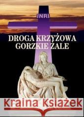 Droga Krzyżowa. Gorzkie Żale w.2022 Edmund Skalski 9788381278126 Bernardinum - książka