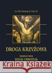 Droga krzyżowa Naszego Pana Jezusa Chrystusa Piet Penning de Vries SJ 9788381014588 Wydawnictwo Diecezjalne i Drukarnia w Sandomi - książka