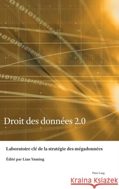 Droit Des Données 2.0: Construction Du Système de Droits Lian, Yuming 9781800794269 Nbn International - książka